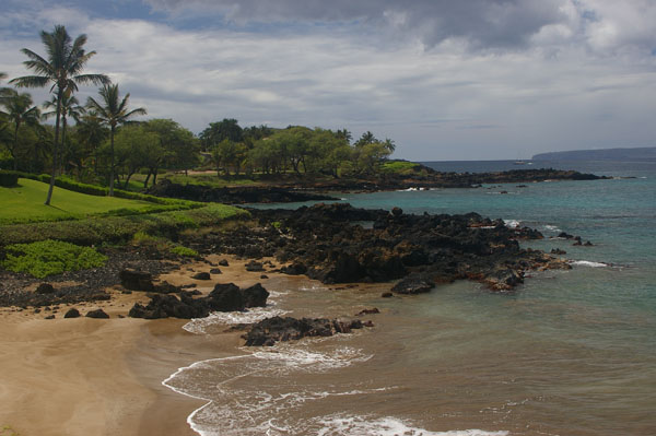 Makena Shore