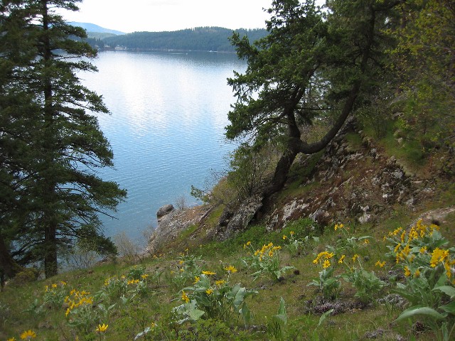 Lake Coeur d'Alene