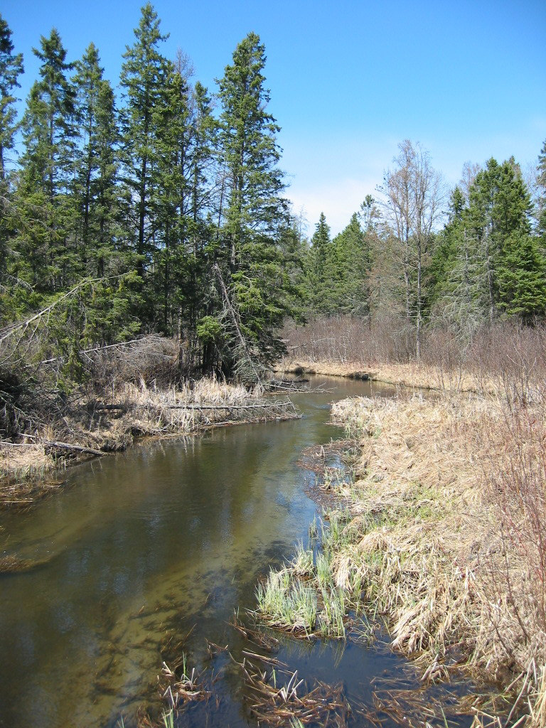 Head Waters of the Mississippi River
