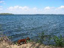 Lili Checks Out Lake Mendota in Madison