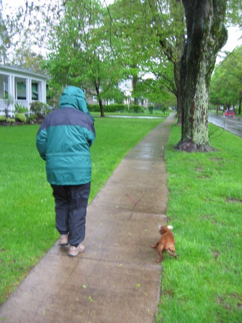 Walking Around in Rainy East Aurora