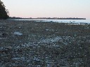 Shoreline at J.W. Wells State Park
