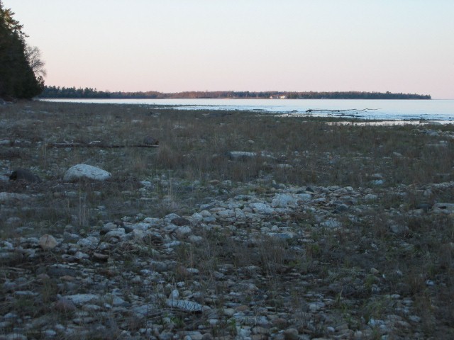 Shoreline at J.W. Wells State Park
