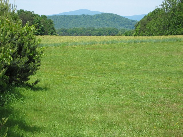 Appalachian Mountains from the Virginia Country Side