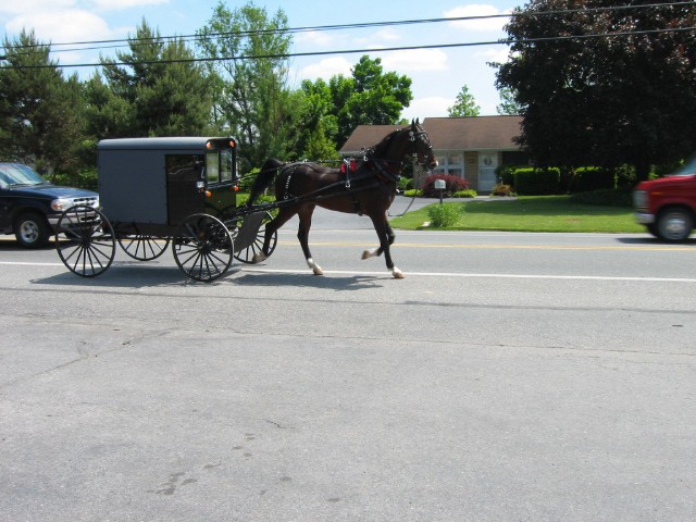 Amish Carriage