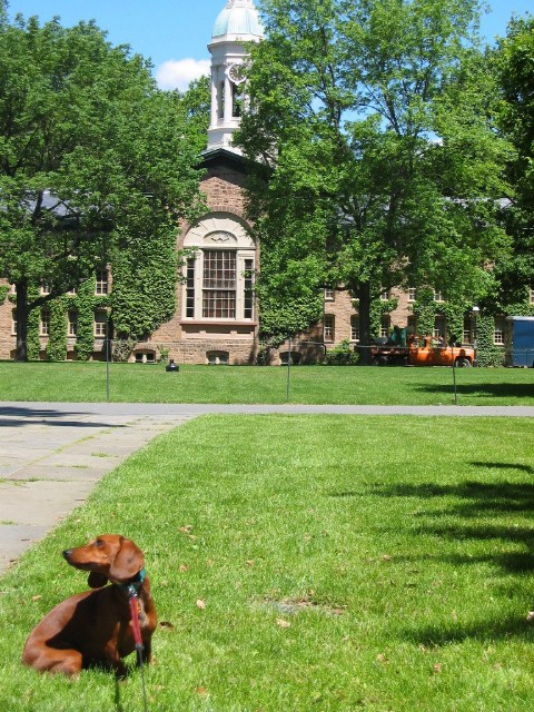 Lili Must Be Smart.  She Went to Princeton