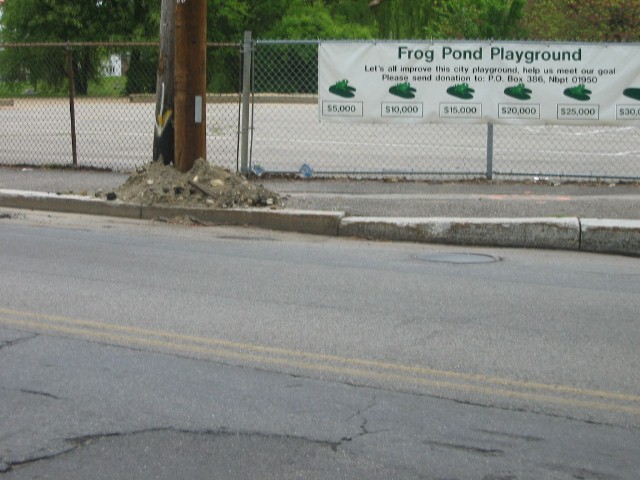 Frog Pond on the Other End of America