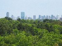 Boston Skyline from Peter's Hill