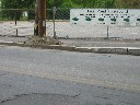 Frog Pond on the Other end of America