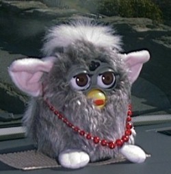 Our First Travelling Companion